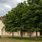 Dorfgemeinschaftshaus und Feuerwehrhaus